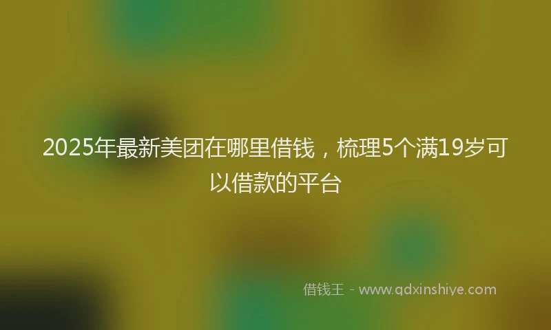 2025年最新美团在哪里借钱，梳理5个满19岁可以借款的平台
