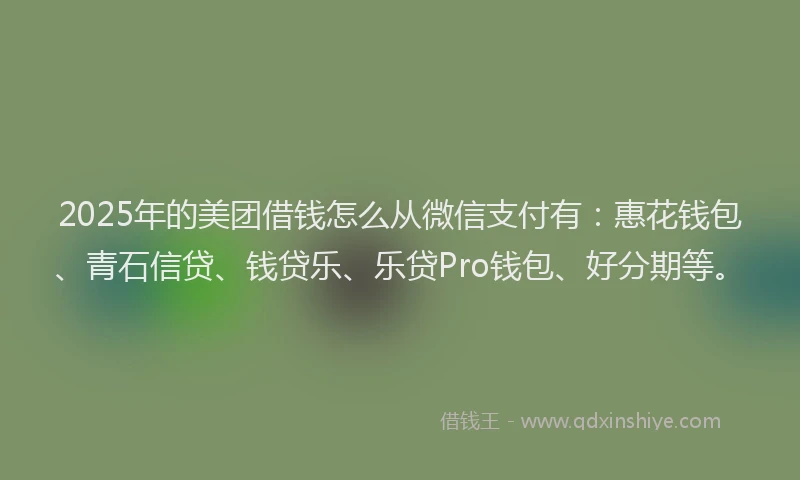 2025年的美团借钱怎么从微信支付有：惠花钱包、青石信贷、钱贷乐、乐贷Pro钱包、好分期等。