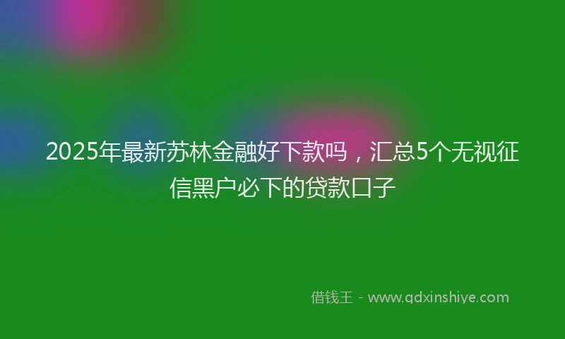 2025年最新苏林金融好下款吗，汇总5个无视征信黑户必下的贷款口子