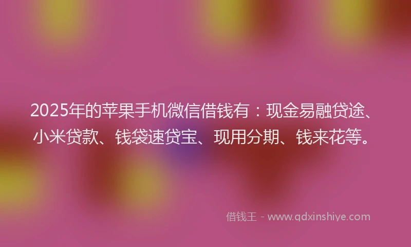 2025年的苹果手机微信借钱有：现金易融贷途、小米贷款、钱袋速贷宝、现用分期、钱来花等。