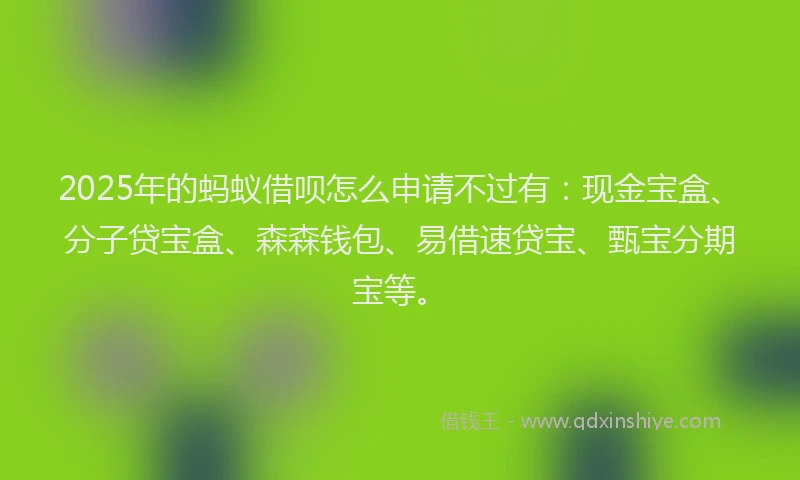 2025年的蚂蚁借呗怎么申请不过有：现金宝盒、分子贷宝盒、森森钱包、易借速贷宝、甄宝分期宝等。