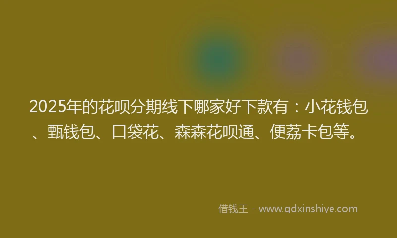2025年的花呗分期线下哪家好下款有：小花钱包、甄钱包、口袋花、森森花呗通、便荔卡包等。