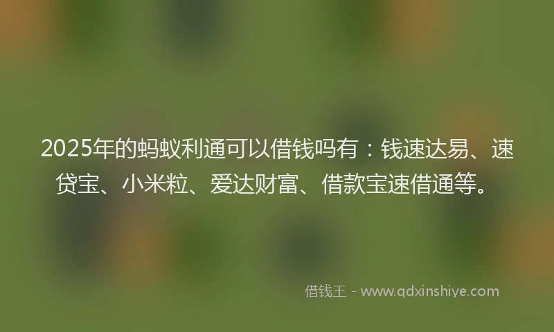 2025年的蚂蚁利通可以借钱吗有：钱速达易、速贷宝、小米粒、爱达财富、借款宝速借通等。