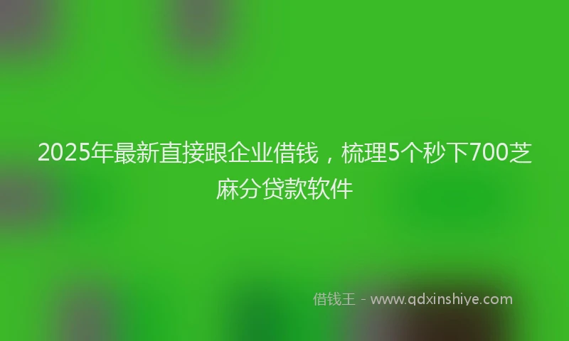 2025年最新直接跟企业借钱，梳理5个秒下700芝麻分贷款软件