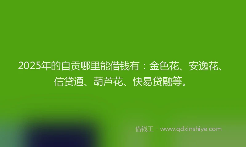 2025年的自贡哪里能借钱有：金色花、安逸花、信贷通、葫芦花、快易贷融等。