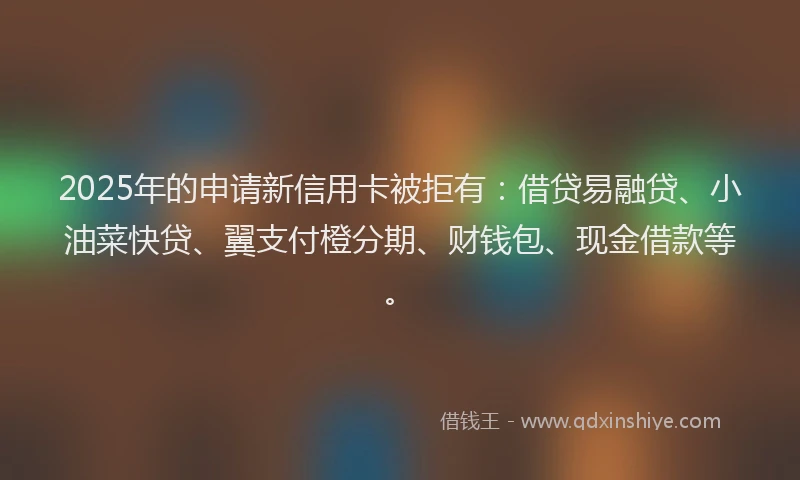 2025年的申请新信用卡被拒有：借贷易融贷、小油菜快贷、翼支付橙分期、财钱包、现金借款等。