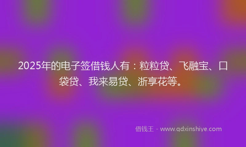 2025年的电子签借钱人有：粒粒贷、飞融宝、口袋贷、我来易贷、浙享花等。
