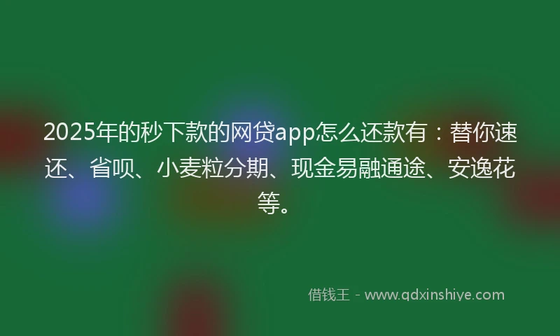 2025年的秒下款的网贷app怎么还款有：替你速还、省呗、小麦粒分期、现金易融通途、安逸花等。