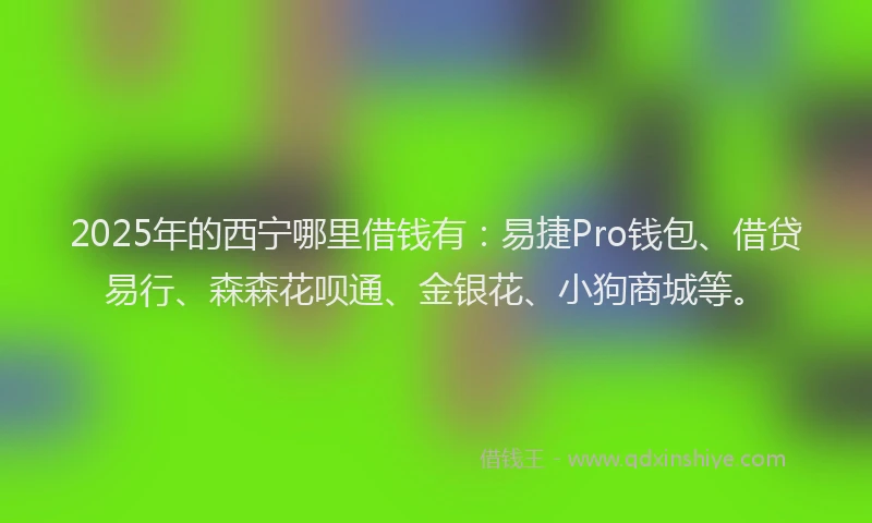 2025年的西宁哪里借钱有：易捷Pro钱包、借贷易行、森森花呗通、金银花、小狗商城等。