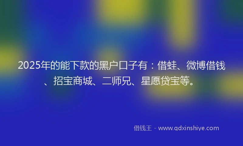 2025年的能下款的黑户口子有：借蛙、微博借钱、招宝商城、二师兄、星愿贷宝等。