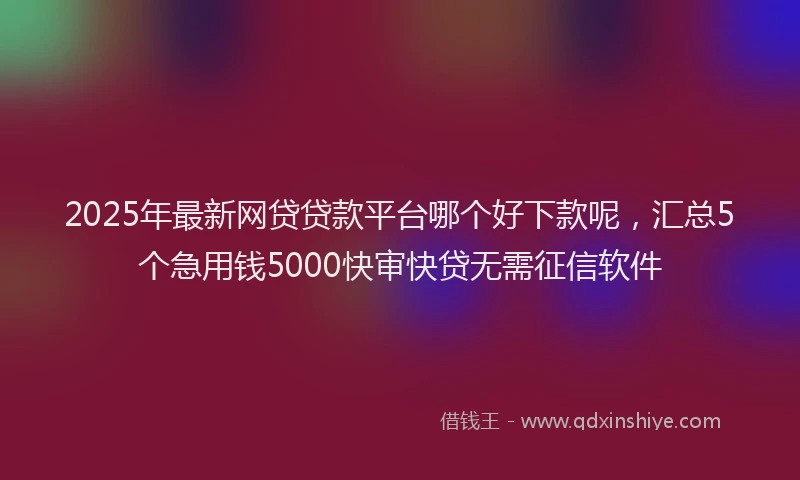 2025年最新网贷贷款平台哪个好下款呢，汇总5个急用钱5000快审快贷无需征信软件