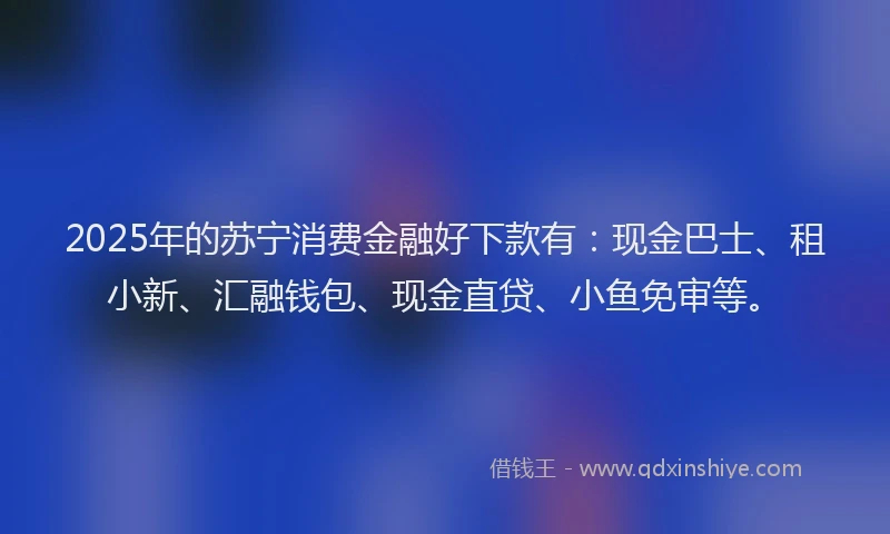 2025年的苏宁消费金融好下款有：现金巴士、租小新、汇融钱包、现金直贷、小鱼免审等。