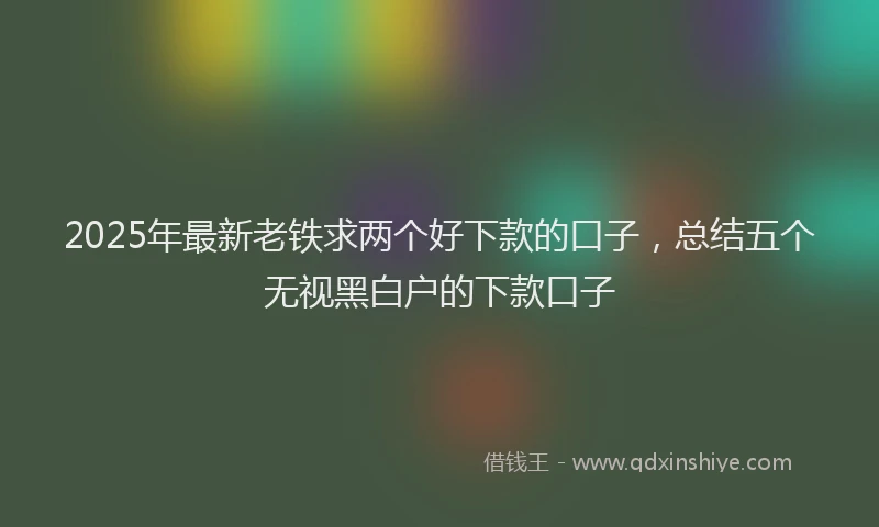 2025年最新老铁求两个好下款的口子，总结五个无视黑白户的下款口子