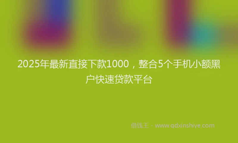 2025年最新直接下款1000，整合5个手机小额黑户快速贷款平台