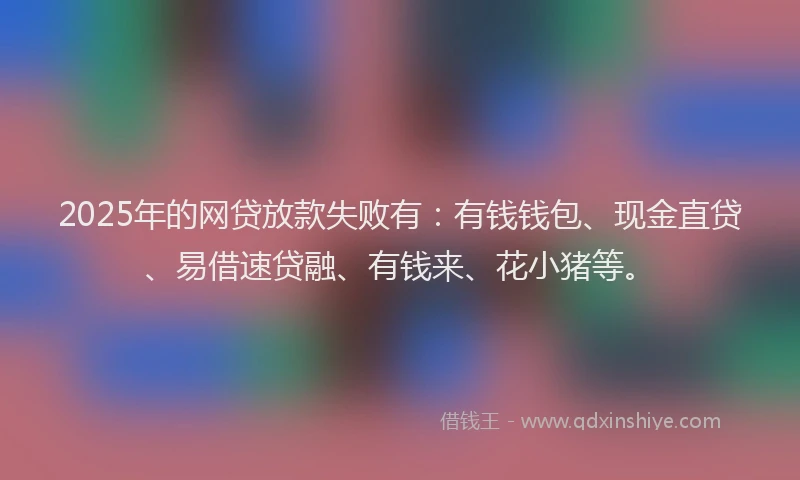 2025年的网贷放款失败有：有钱钱包、现金直贷、易借速贷融、有钱来、花小猪等。