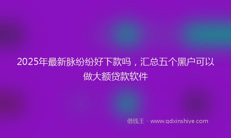 2025年最新脉纷纷好下款吗，汇总五个黑户可以做大额贷款软件