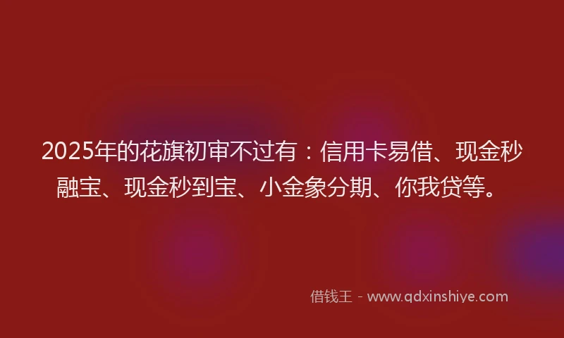2025年的花旗初审不过有：信用卡易借、现金秒融宝、现金秒到宝、小金象分期、你我贷等。