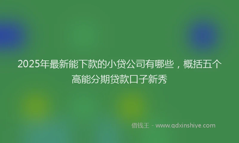 2025年最新能下款的小贷公司有哪些，概括五个高能分期贷款口子新秀