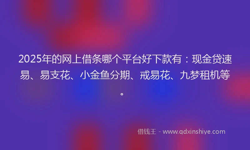 2025年的网上借条哪个平台好下款有：现金贷速易、易支花、小金鱼分期、戒易花、九梦租机等。