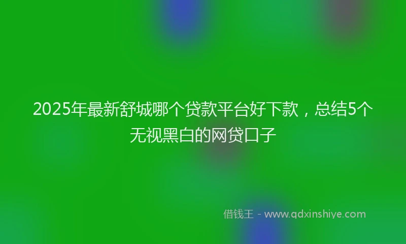 2025年最新舒城哪个贷款平台好下款，总结5个无视黑白的网贷口子