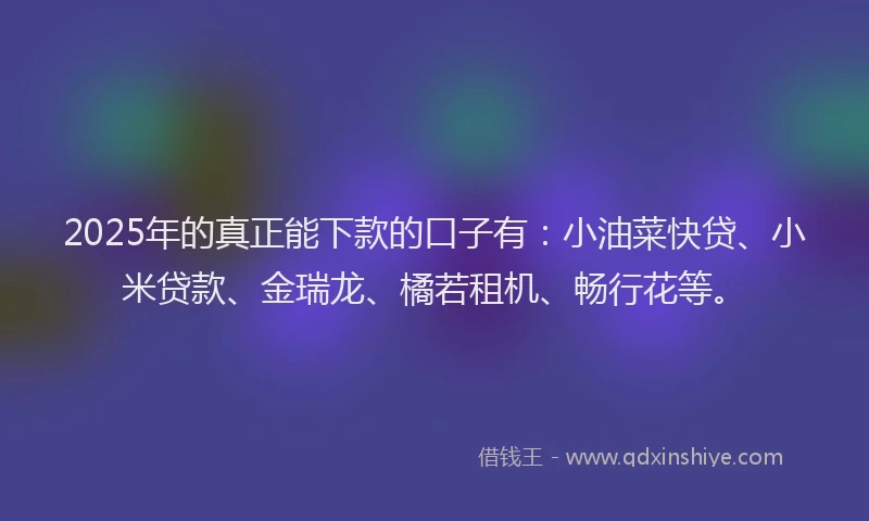 2025年的真正能下款的口子有：小油菜快贷、小米贷款、金瑞龙、橘若租机、畅行花等。