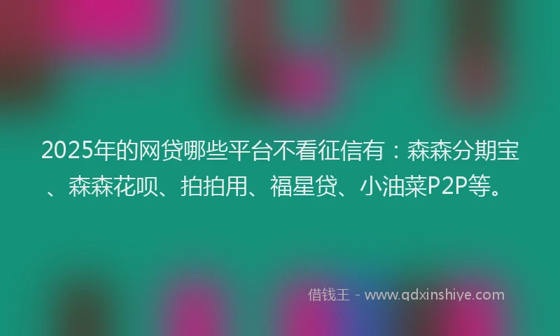 2025年的网贷哪些平台不看征信有：森森分期宝、森森花呗、拍拍用、福星贷、小油菜P2P等。