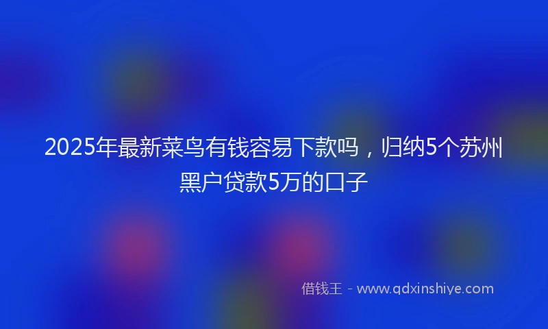 2025年最新菜鸟有钱容易下款吗，归纳5个苏州黑户贷款5万的口子