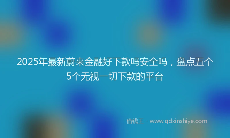 2025年最新蔚来金融好下款吗安全吗，盘点五个5个无视一切下款的平台