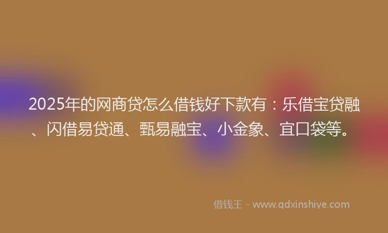 2025年的网商贷怎么借钱好下款有：乐借宝贷融、闪借易贷通、甄易融宝、小金象、宜口袋等。