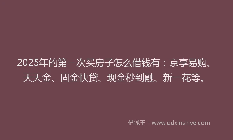 2025年的第一次买房子怎么借钱有：京享易购、天天金、固金快贷、现金秒到融、新一花等。