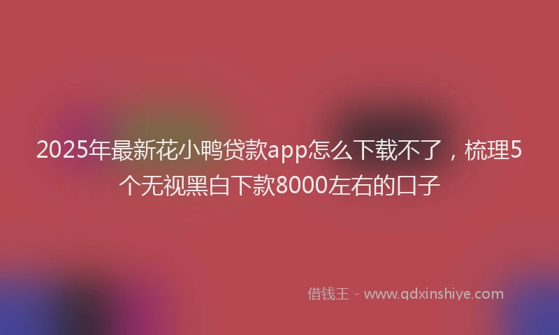 2025年最新花小鸭贷款app怎么下载不了，梳理5个无视黑白下款8000左右的口子