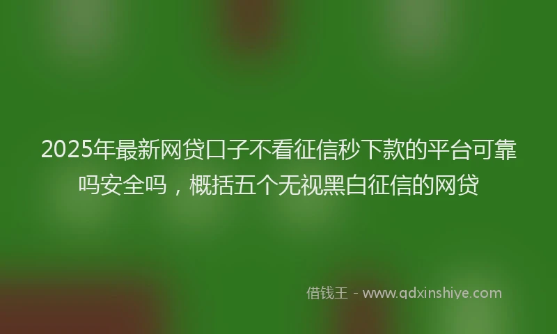 2025年最新网贷口子不看征信秒下款的平台可靠吗安全吗，概括五个无视黑白征信的网贷