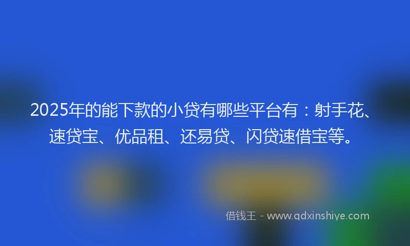 2025年的能下款的小贷有哪些平台有：射手花、速贷宝、优品租、还易贷、闪贷速借宝等。