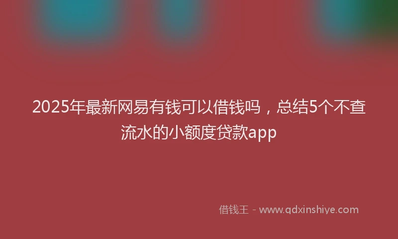 2025年最新网易有钱可以借钱吗，总结5个不查流水的小额度贷款app
