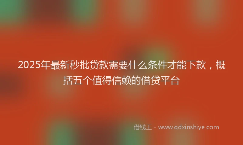 2025年最新秒批贷款需要什么条件才能下款，概括五个值得信赖的借贷平台