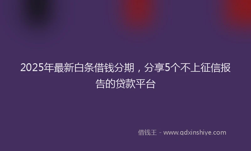2025年最新白条借钱分期，分享5个不上征信报告的贷款平台