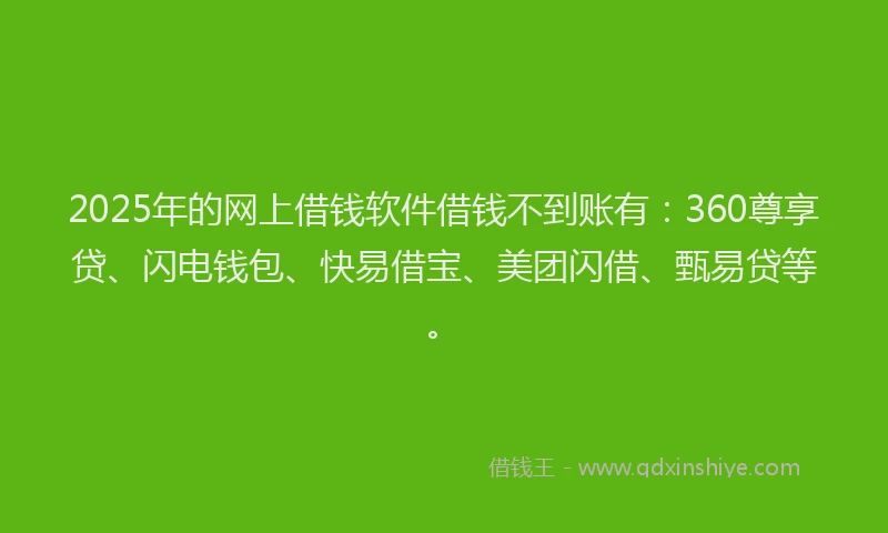 2025年的网上借钱软件借钱不到账有：360尊享贷、闪电钱包、快易借宝、美团闪借、甄易贷等。