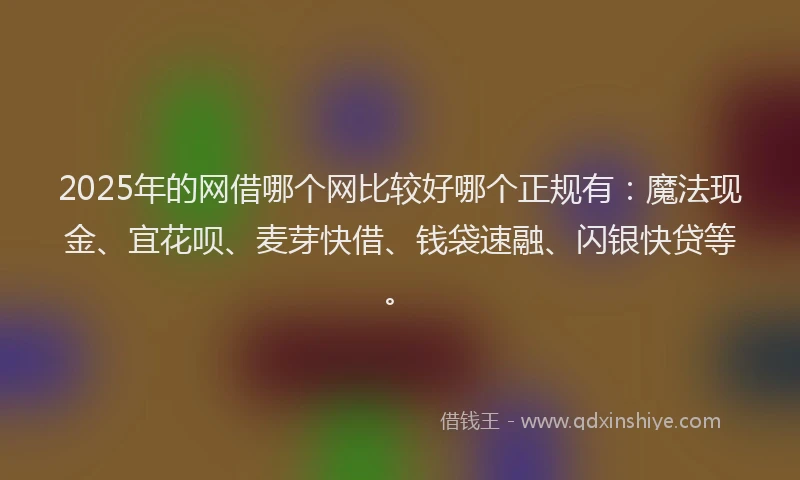 2025年的网借哪个网比较好哪个正规有：魔法现金、宜花呗、麦芽快借、钱袋速融、闪银快贷等。