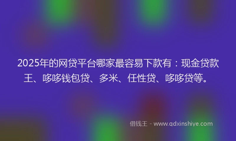 2025年的网贷平台哪家最容易下款有：现金贷款王、哆哆钱包贷、多米、任性贷、哆哆贷等。