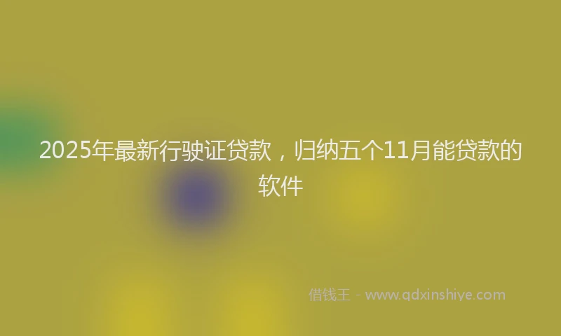 2025年最新行驶证贷款，归纳五个11月能贷款的软件