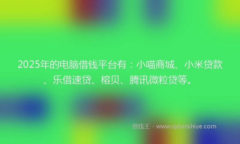 2025年的电脑借钱平台有：小喵商城、小米贷款、乐借速贷、榕贝、腾讯微粒贷等。