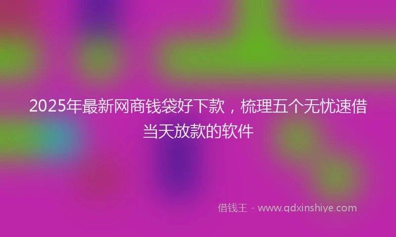 2025年最新网商钱袋好下款，梳理五个无忧速借当天放款的软件