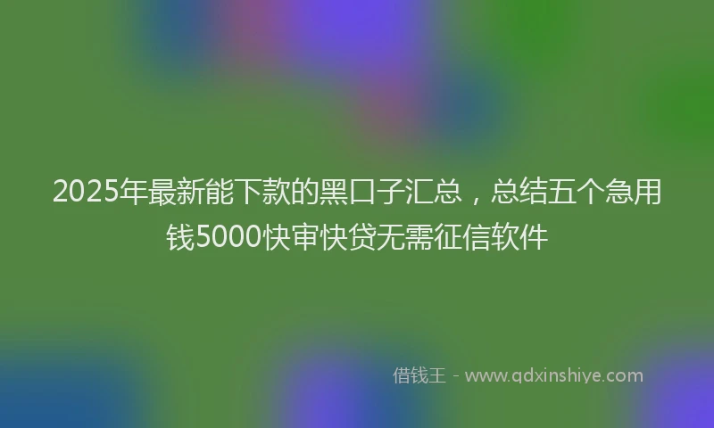 2025年最新能下款的黑口子汇总，总结五个急用钱5000快审快贷无需征信软件