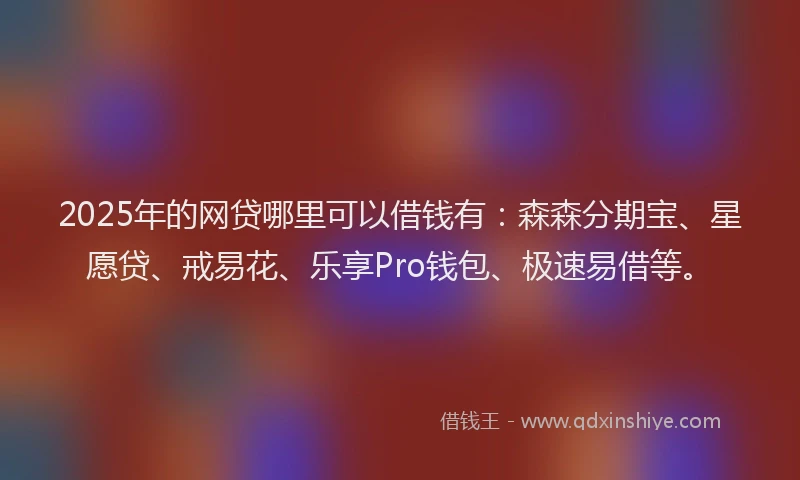 2025年的网贷哪里可以借钱有：森森分期宝、星愿贷、戒易花、乐享Pro钱包、极速易借等。