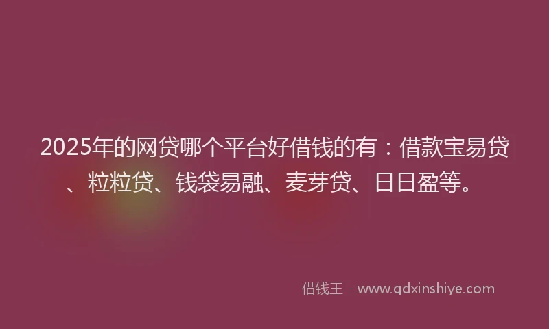2025年的网贷哪个平台好借钱的有：借款宝易贷、粒粒贷、钱袋易融、麦芽贷、日日盈等。