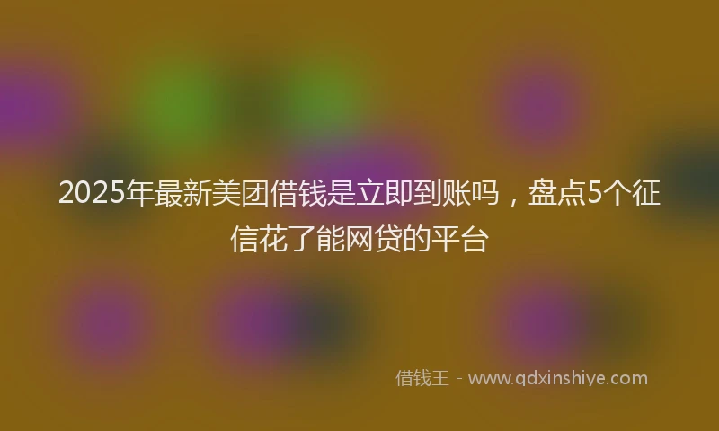 2025年最新美团借钱是立即到账吗，盘点5个征信花了能网贷的平台