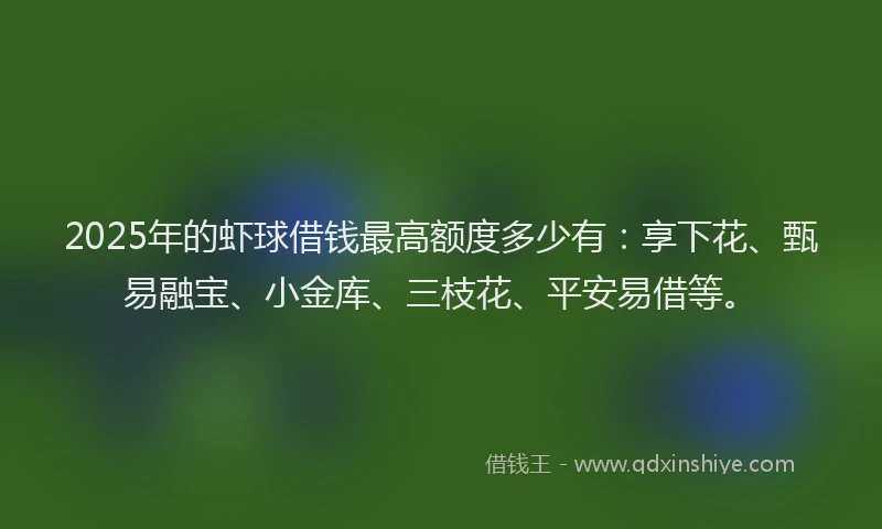 2025年的虾球借钱最高额度多少有：享下花、甄易融宝、小金库、三枝花、平安易借等。
