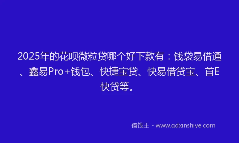 2025年的花呗微粒贷哪个好下款有：钱袋易借通、鑫易Pro+钱包、快捷宝贷、快易借贷宝、首E快贷等。