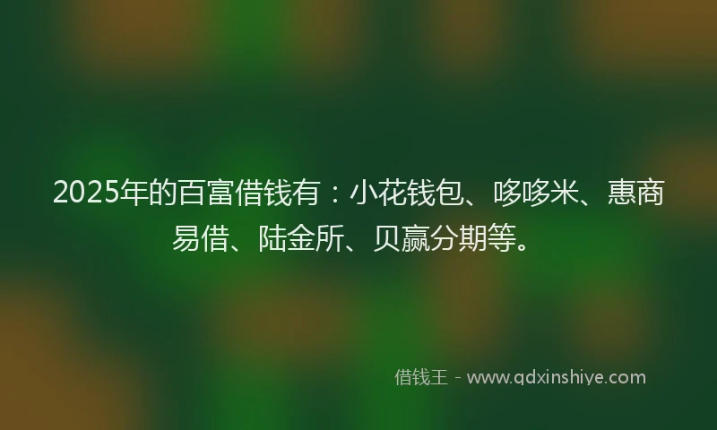 2025年的百富借钱有：小花钱包、哆哆米、惠商易借、陆金所、贝赢分期等。