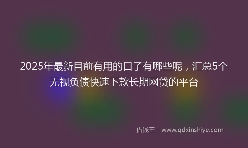 2025年最新目前有用的口子有哪些呢，汇总5个无视负债快速下款长期网贷的平台